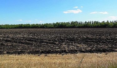Фермеру станет проще решить земельный вопрос